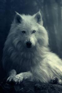 Wolfie*