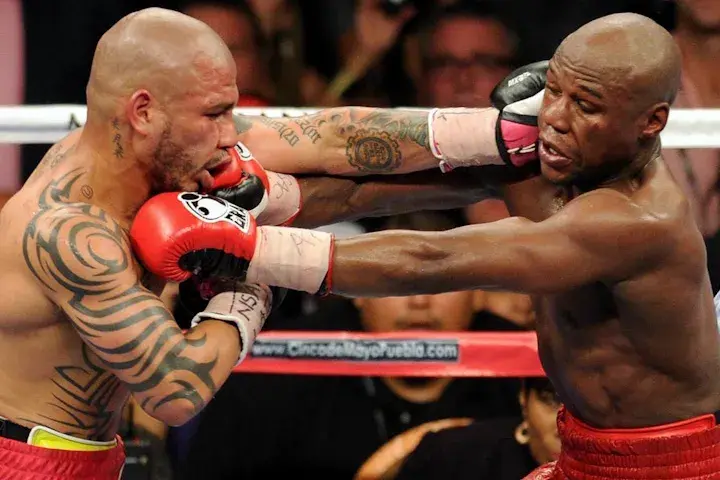 Ther Cotto Crop