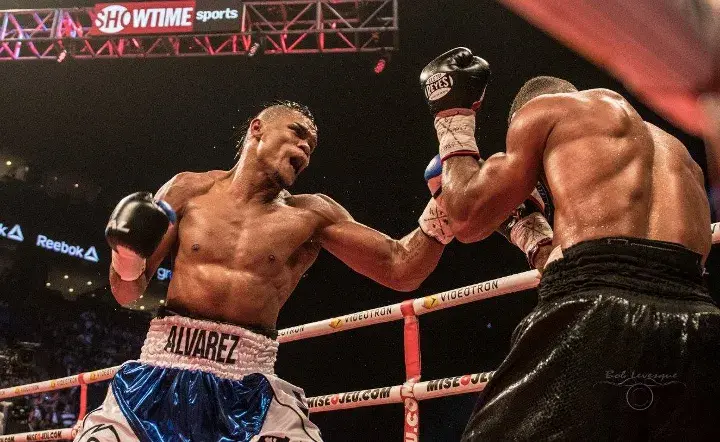 Alvarez Pascal Fight