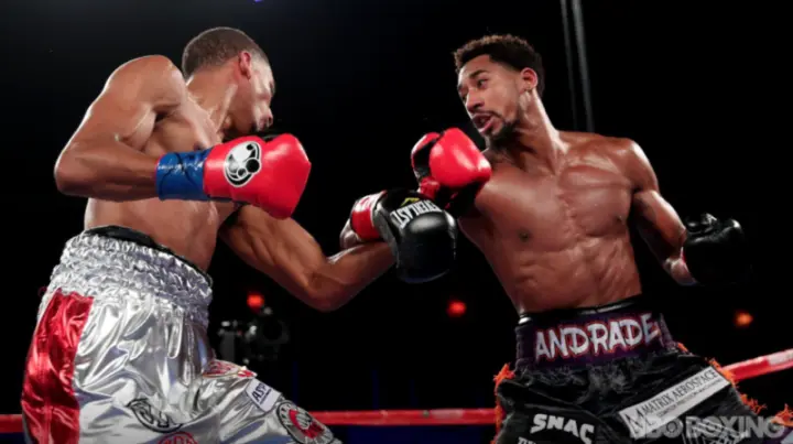 Andrade Fox Fight