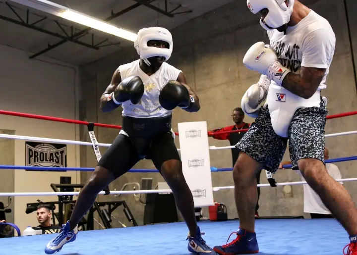 Andre Berto