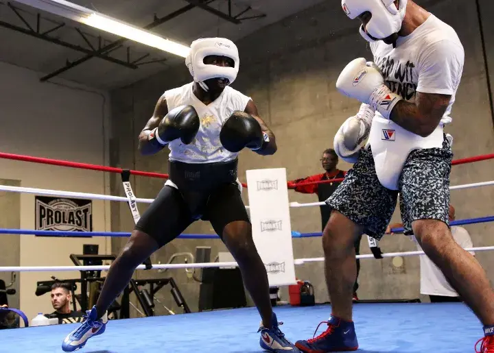 Andre Berto