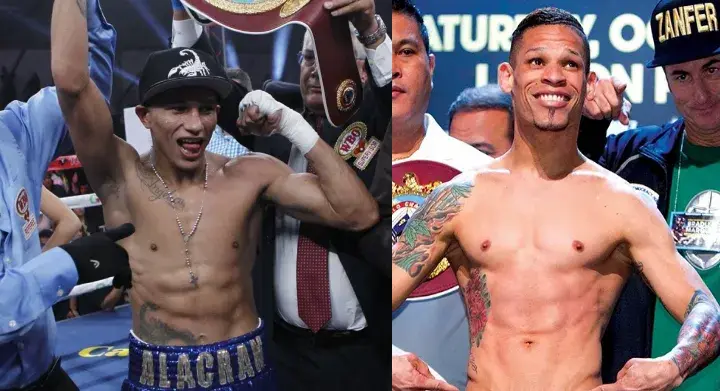 Berchelt Cruz