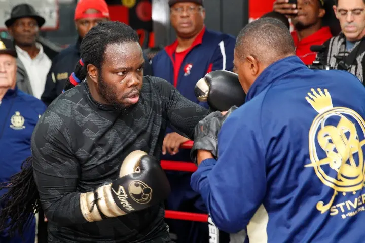 Bermane Stiverne