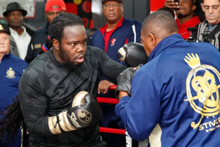 Bermane Stiverne