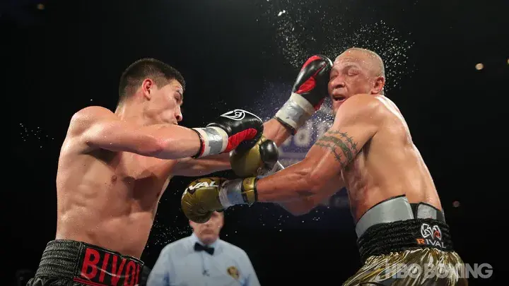 Bivol Chilemba Fight
