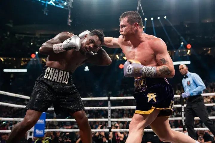Canelo Charlo Fight Hafey