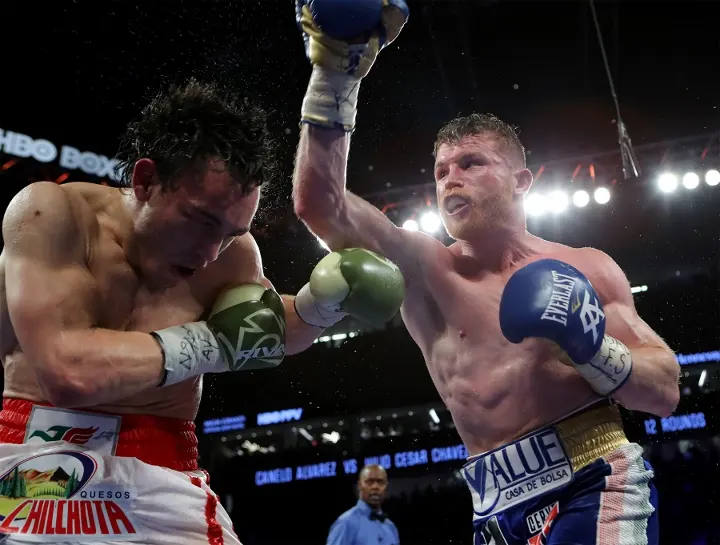 Canelo Chavez Fight