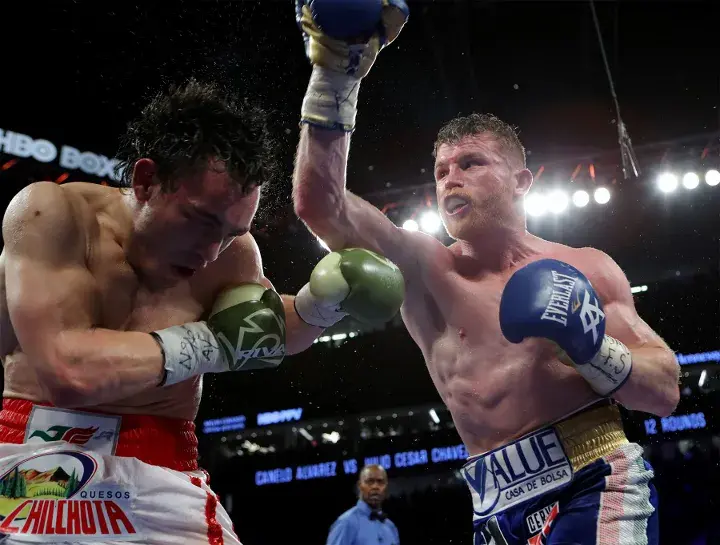 Canelo Chavez Fight