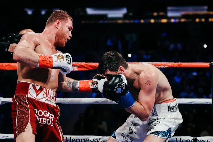 Canelo Fielding Fight
