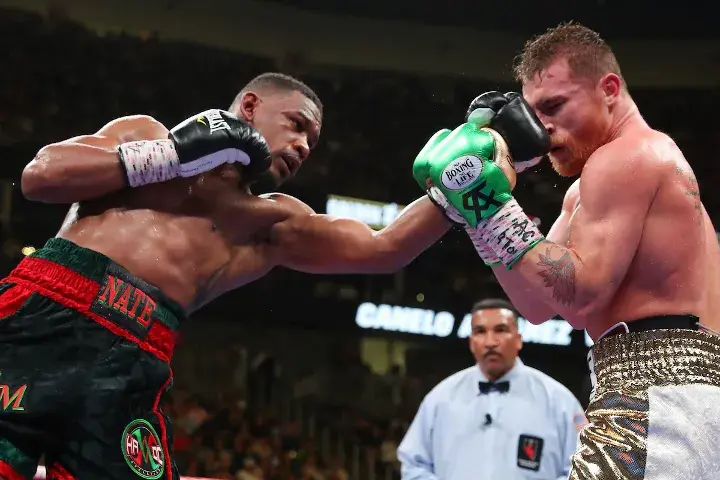 Canelo Jacobs Fight