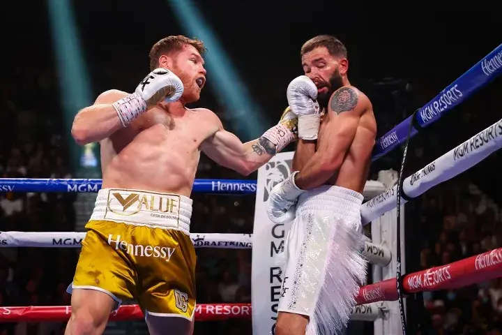 Canelo Plant Fight