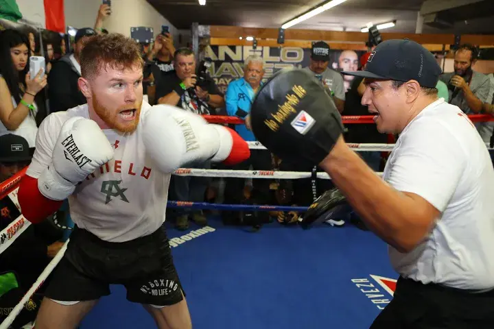 Canelo