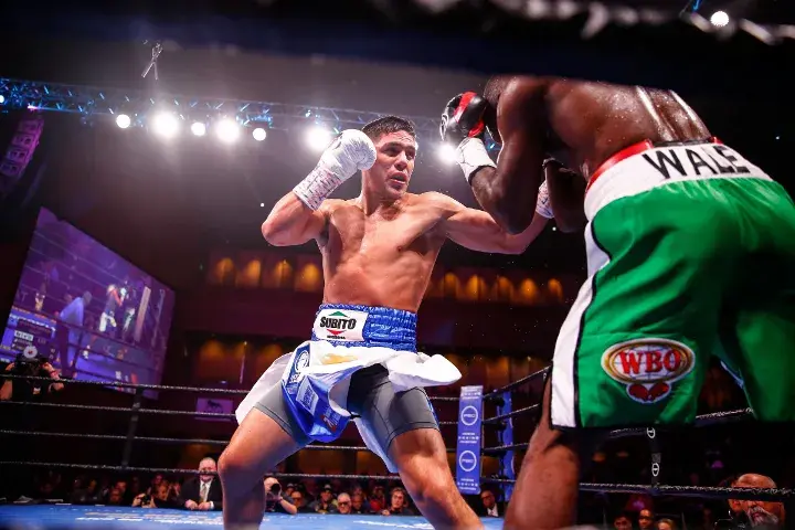 Castano Omotoso Fight