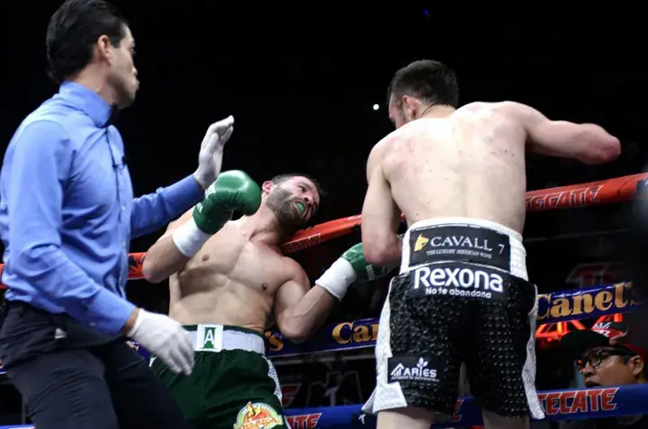 Chavez Alvarez Fight