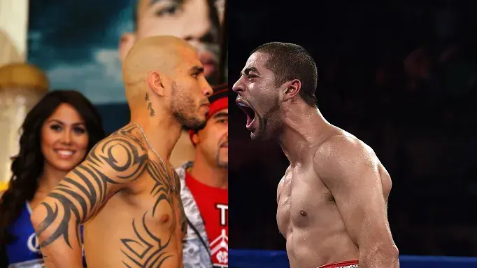 Cotto Ali