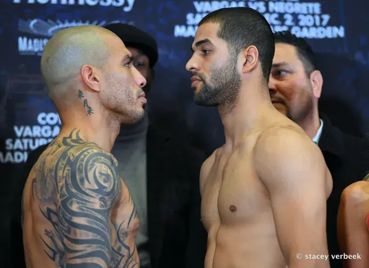 Cotto Ali Weights