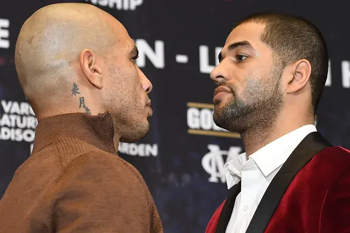 Cotto Ali