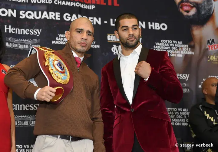 Cotto Ali