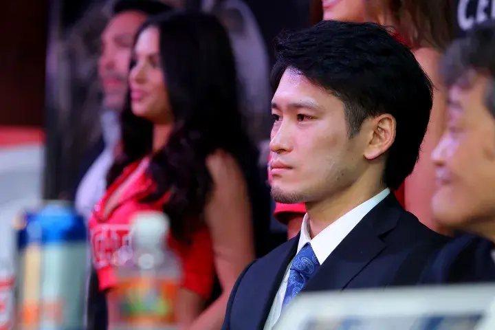 Cotto Kamegai