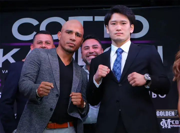 Cotto Kamegai