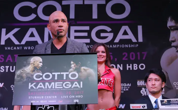 Cotto Kamegai