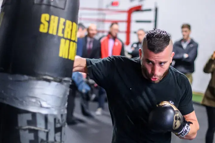 David Lemieux