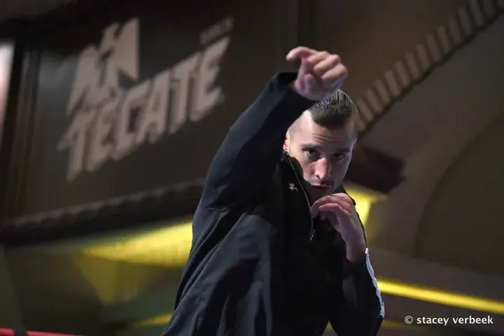 David Lemieux