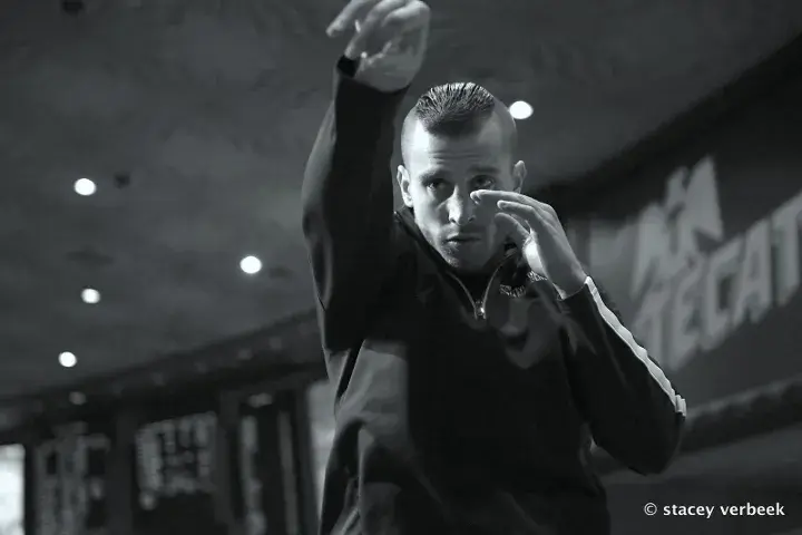 David Lemieux