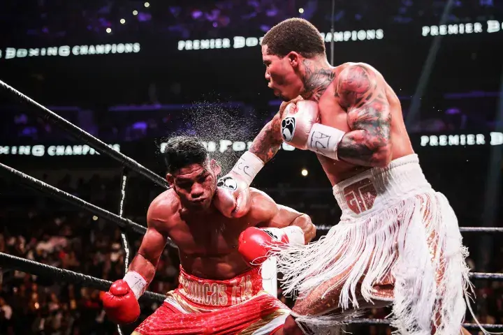 Davis Gamboa Fight