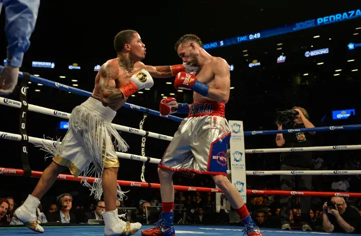 Davis Pedraza Fight