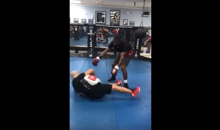 Dorticos Trainer