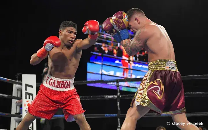 Gamboa Sosa Fight