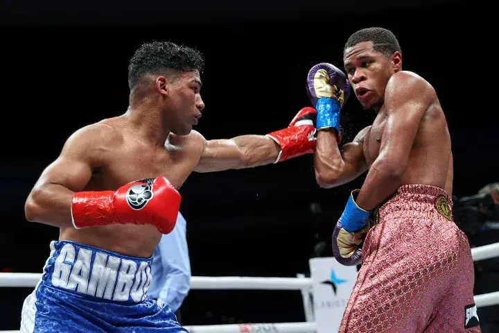 Haney Gamboa Fight