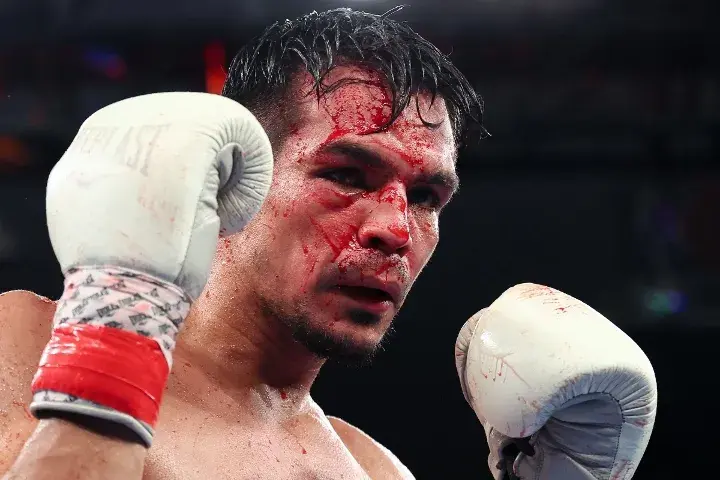 Hitchins Zepeda Fight