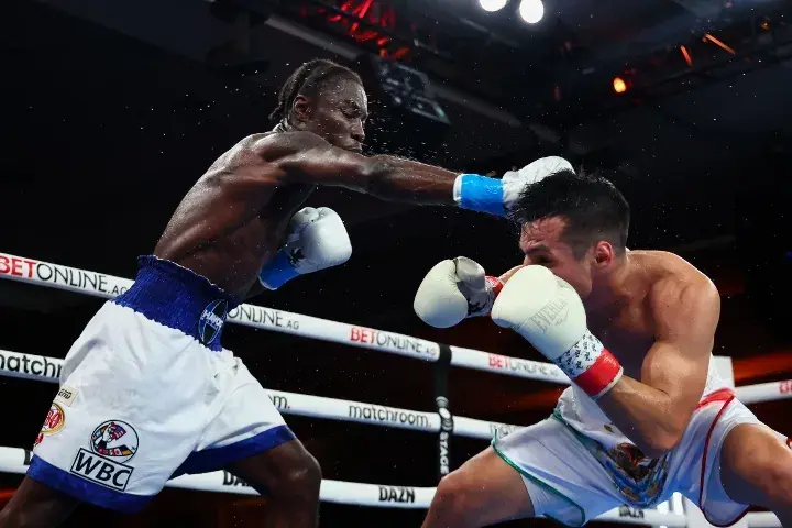 Hitchins Zepeda Fight
