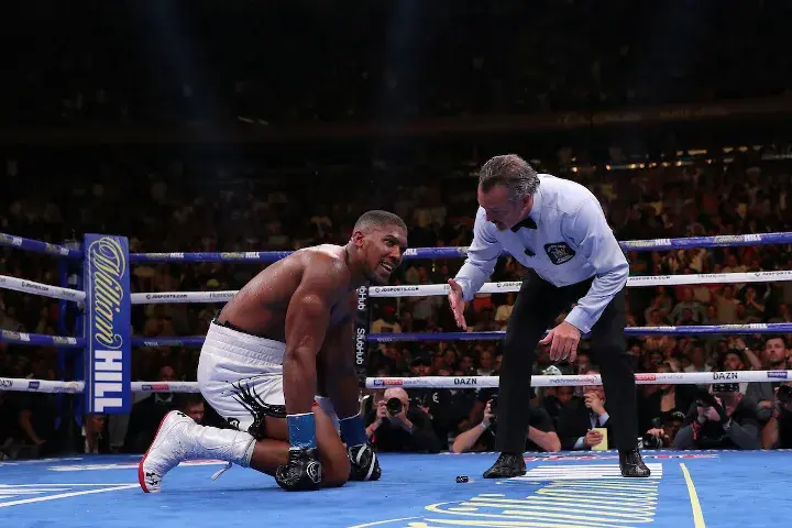 Joshua Andy Ruiz Fight