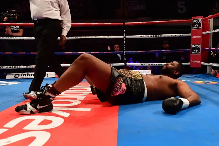 Joyce Palmer Fight