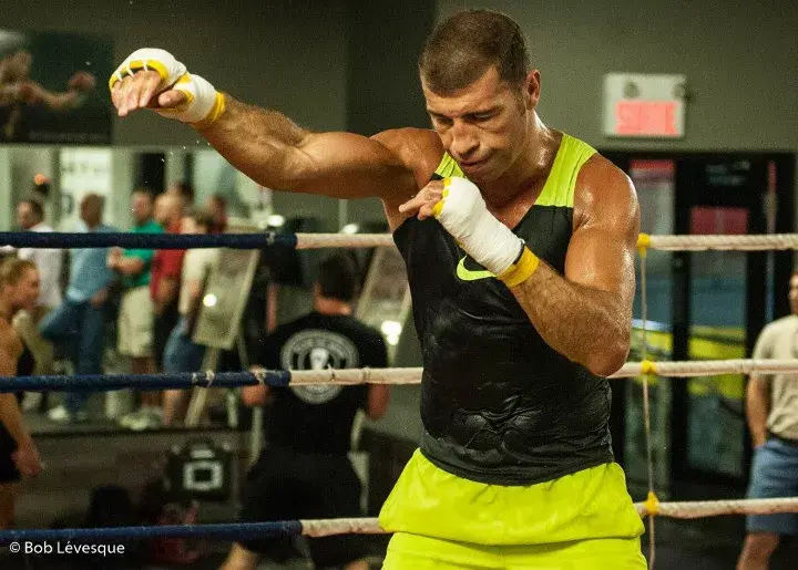 Lucian Bute