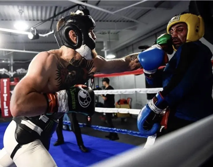 Mcgregor Malignaggi Sparring