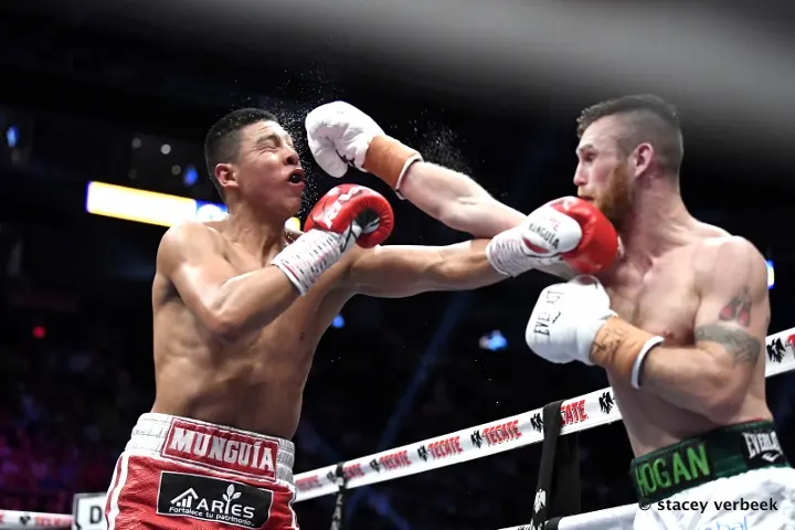Munguia Hogan Fight