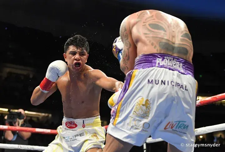 Munguia Rosado Fight