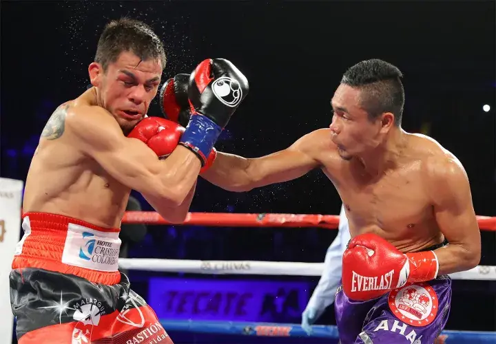 Nietes Reveco Fight