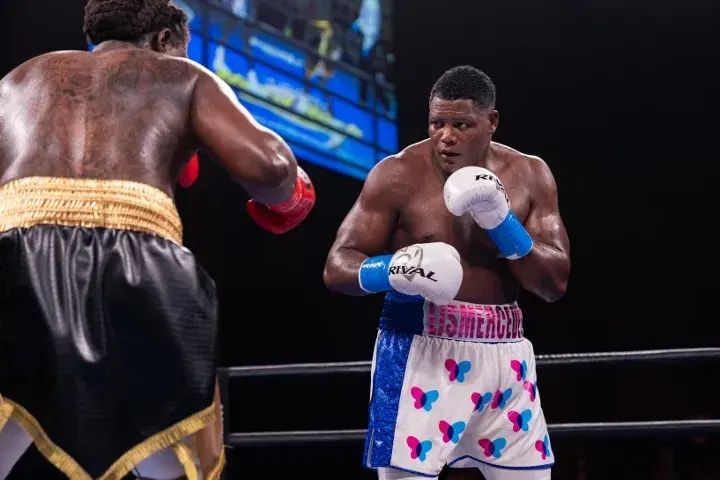Ortiz Martin Fight Haney