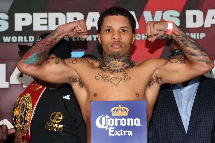 Pedraza Davis Weights