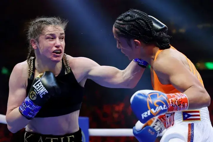 Taylor Serrano Fight