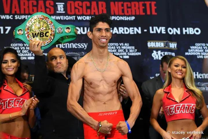 Vargas Negrete Weights