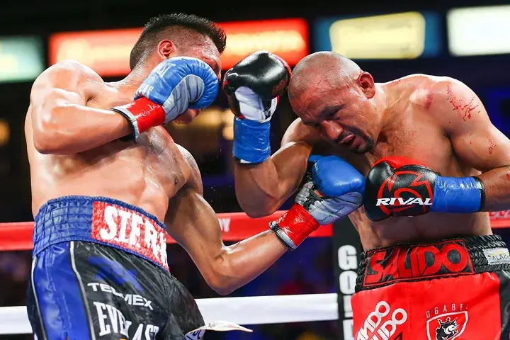 Vargas Salido Fight
