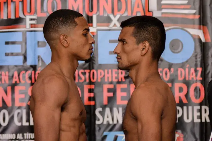 Verdejo Flores