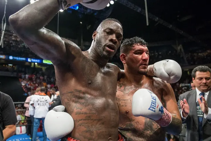 Wilder Arreola Fight